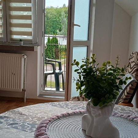 Udane Wczasy Apartment Gizycko Bagian luar foto
