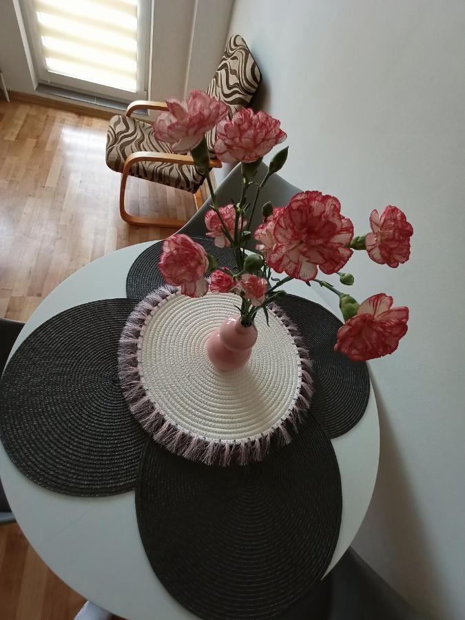 Udane Wczasy Apartment Gizycko Bagian luar foto
